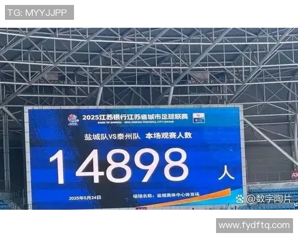 2025江苏省城市足球联赛第五轮现场观众人数统计分析报告